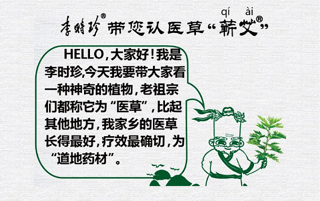 带您认医草——蕲艾