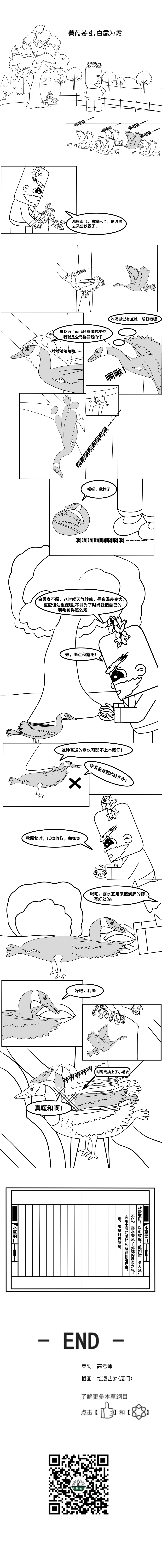 蒹葭苍苍，白露为霜